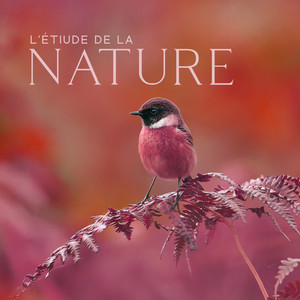 L’étiude de la nature - Détendez-vous avec la nature