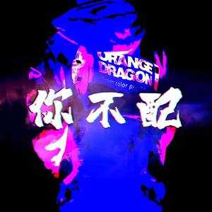 你不配 (Prod by RudeSkillz Beats)