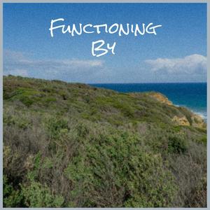 Functioning By