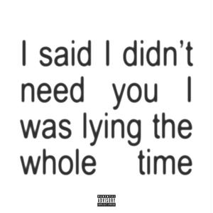 i said i didn't need you i was lying the whole time (Explicit)