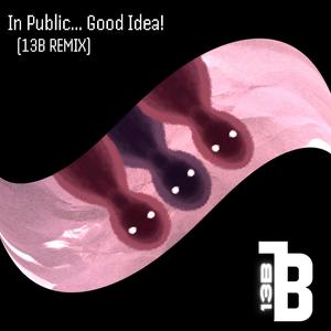 In Public...Good Idea! (feat. 13B) (13B Remix)