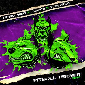 Pitbull Terrier Biry (Explicit)