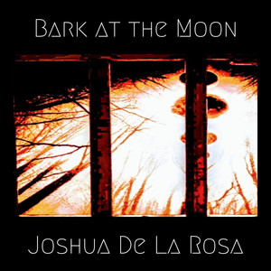 Bark at the Moon (Guitar Cover)