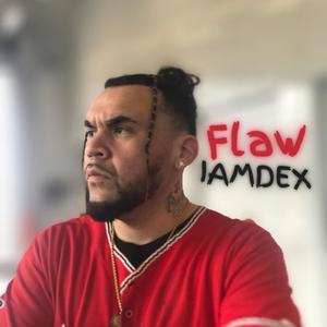 Flaw. (feat. Dj Akademiks) [Explicit]