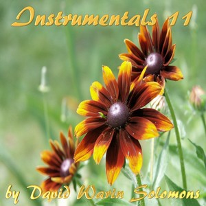 Instrumentals 11