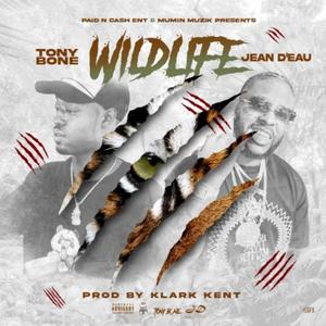 Wild Life (feat. Jean Deau) [Explicit]