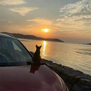 Zarkoz - 唯我独尊(PHONK)