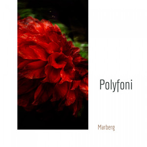 Polyfoni