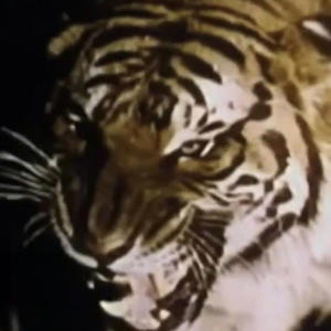 Jigg n Sum Jeans (feat. 5Skrilla) (Explicit)