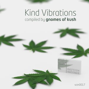 Always Waiting (Gnomes of Kush & D-Echo Project Remix)