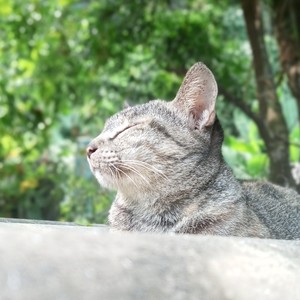 Đâu Ai Biết Lần Gặp Lúc Đó Ngồi Kề Bên Nhau Là Lần Cuối Cùng