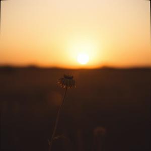 Tu ausencia (feat. Luis santos)