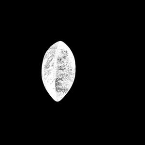 LX (feat. Alcahal & EXPN) (Explicit)