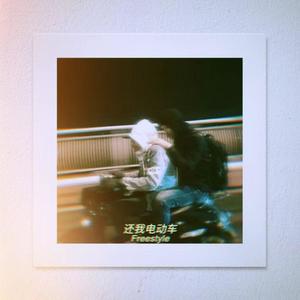 还我电动车Freestyle-顽疾