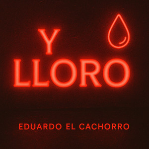 Y Lloro