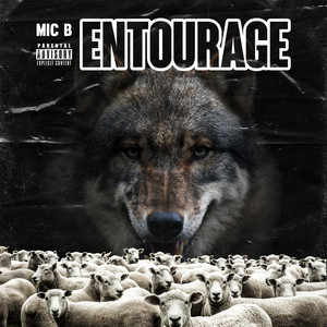 Entourage (Explicit)