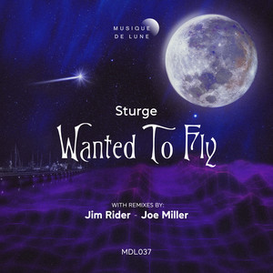 Wanted to Fly (Jim Rider Remix)