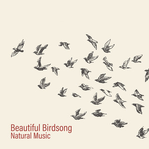 Beautiful Birdsong. Natural Music (Amazing Sounds of Nature, Naturopathy, Calms the Mind)