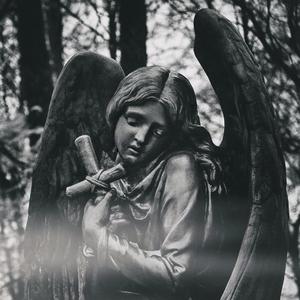 You Will Remember Me (Explicit)