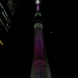 Cinta Terakhir (Indojapan Version)