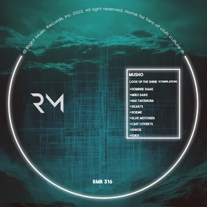 Look Up the Shine (Miro Dark Remix)