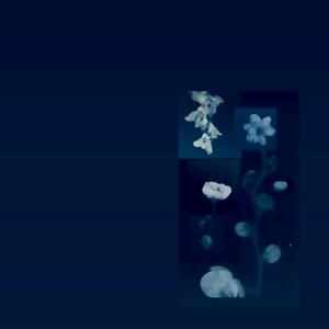 BEEN AWAY (Explicit)