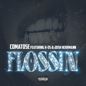 Flossin (feat. K-OS & Josh Herrmann) (Explicit)