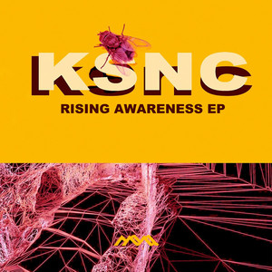 Raising Awareness (Original Mix)