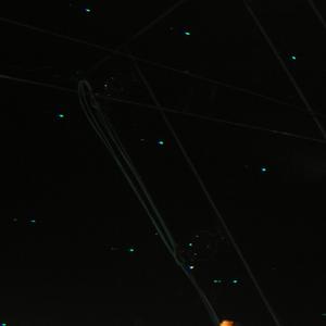 dog / game over. (Explicit)