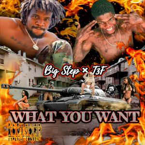 What You Want (feat. Team300Flows) [Explicit]