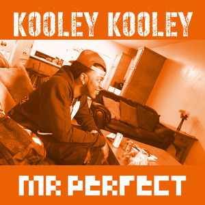 Mr. Perfect (Explicit)