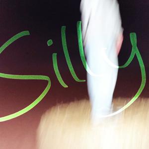 silly place (Explicit)