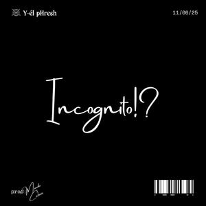 Incognito!? (Explicit)