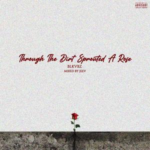 Through The Dirt Sprouted a Rose (Explicit)