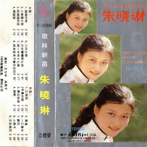 小村之恋封面