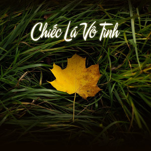 Muộn Màng Là Từ Lúc