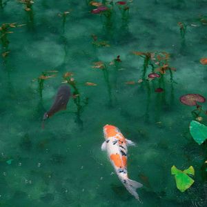 Beyond Youthful Days