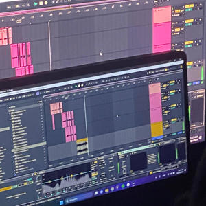 SHOULDER BAG (FREESTYLE) (Explicit)