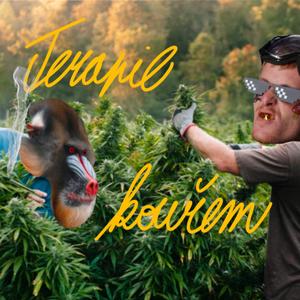 Terapie Kouřem (feat. Gambrz Reprs) (Explicit)