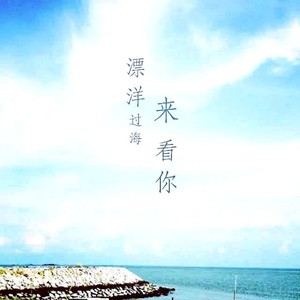 漂洋过海来看你