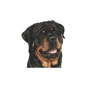 ROTTWEILER (Explicit)