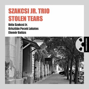 Stolen Tears