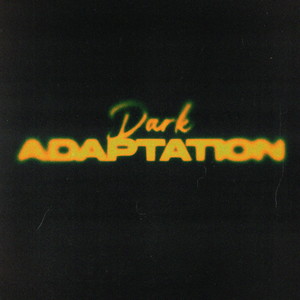 Dark Adaptation