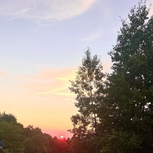 REVERSE (feat. Attendre) (Explicit)