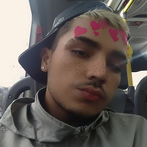 Bota