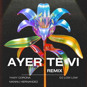 Ayer Te Vi (Remix)