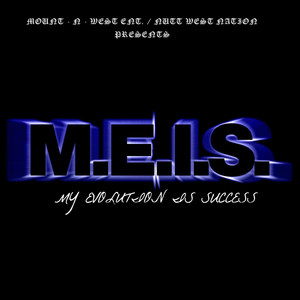 M.E.I.S.