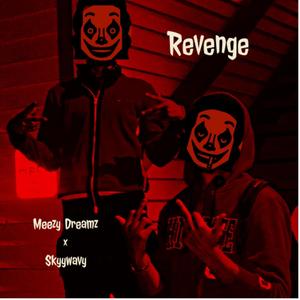 Revenge (feat. Skyywavy) (Explicit)