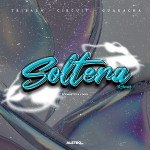 Soltera (Remix)