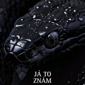 JÁ TO ZNÁM (feat. Denner & BlackTone) [Explicit]